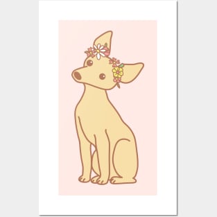 Miniature Pinscher Posters and Art